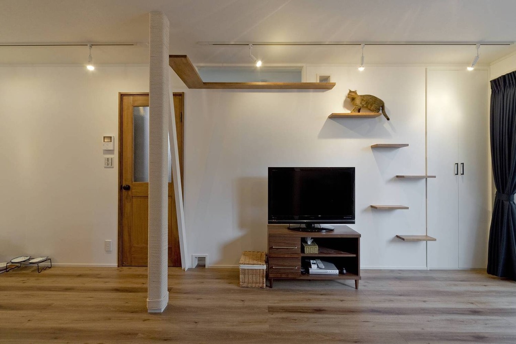 hacorenove style interior, open-plan living dining kitchen, white walls, warm oak flooring, gray concrete kitchen counter, white sofa, blue area rug, indoor plants, natural light, minimalist Japanese-Scandinavian atmosphere