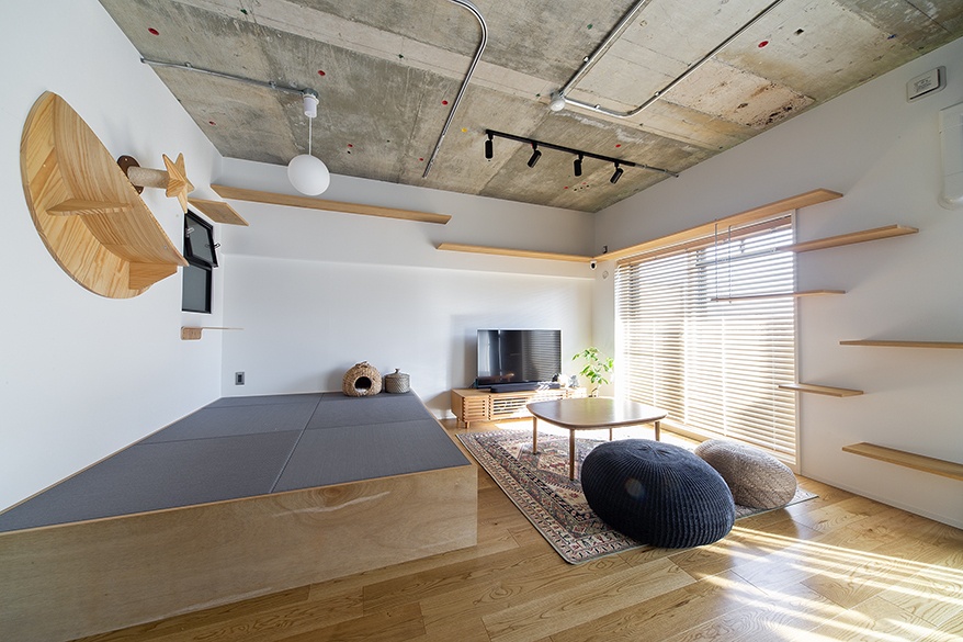 hacorenove style interior, Japanese-modern living room, exposed concrete ceiling, raised tatami platform, light oak flooring, wooden wall shelves, cat wall furniture, track lighting, natural daylight, minimalist warm atmosphere